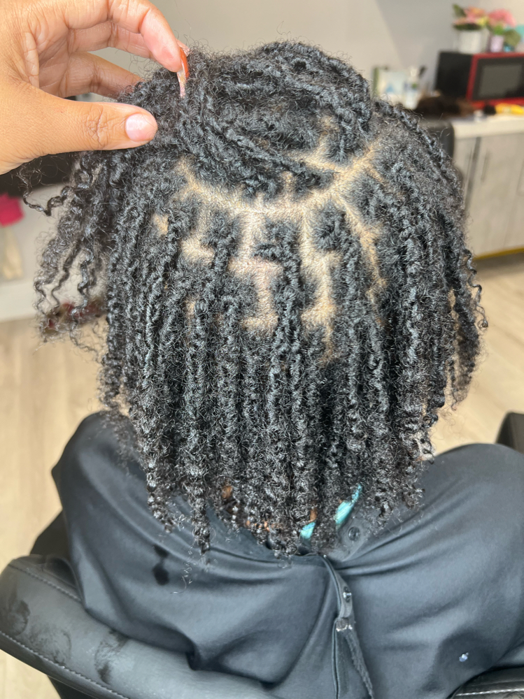 Starter Locs - Interlocking