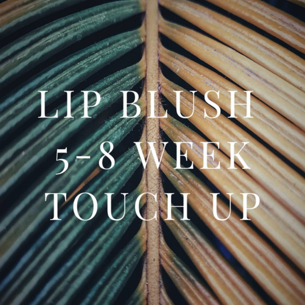 Lip Blush Touch Up (5-8 Weeks) at STERLING INK & GLO in El Cajon, CA