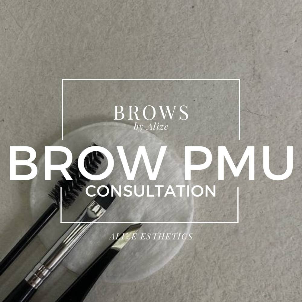 Brow PMU Consultation