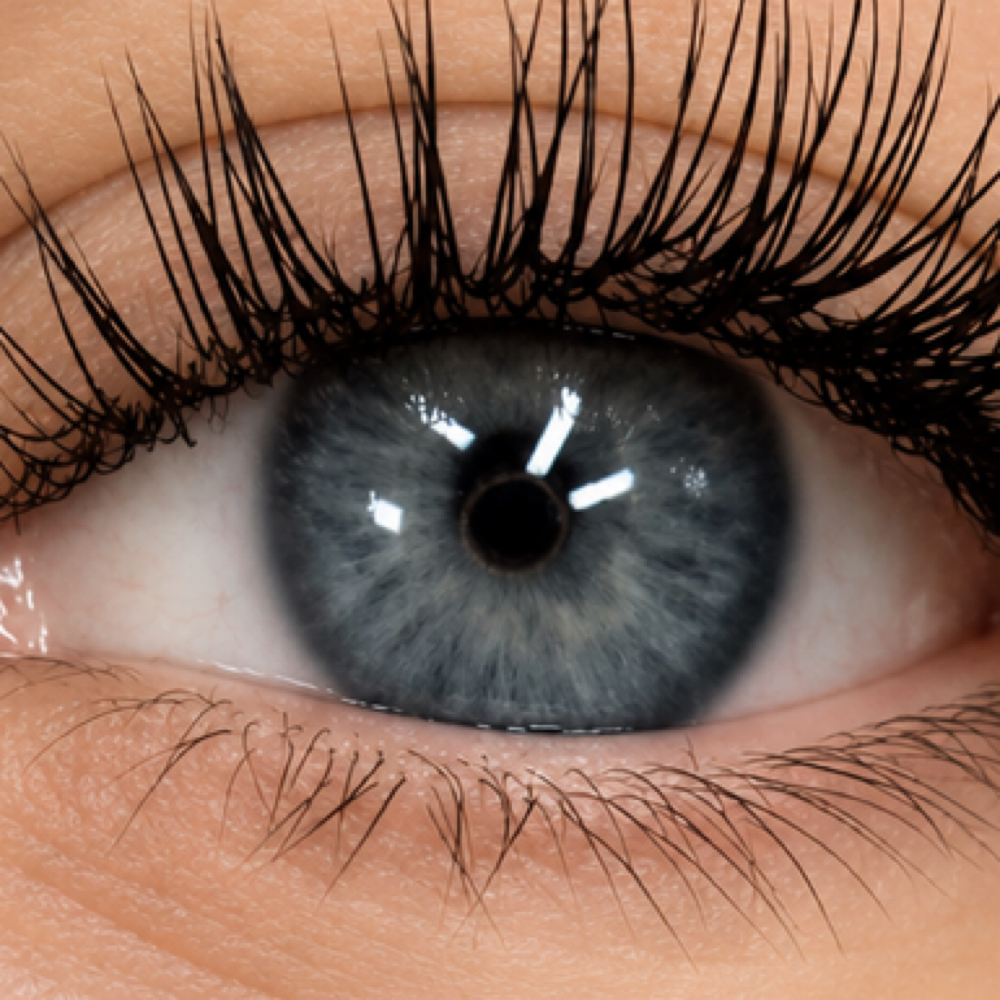 Classic Set at Luxe Lash Studio by Mimi in Wilmette, IL