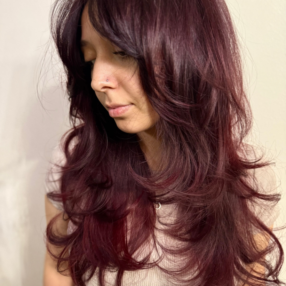 Scissor Haircuts/trims