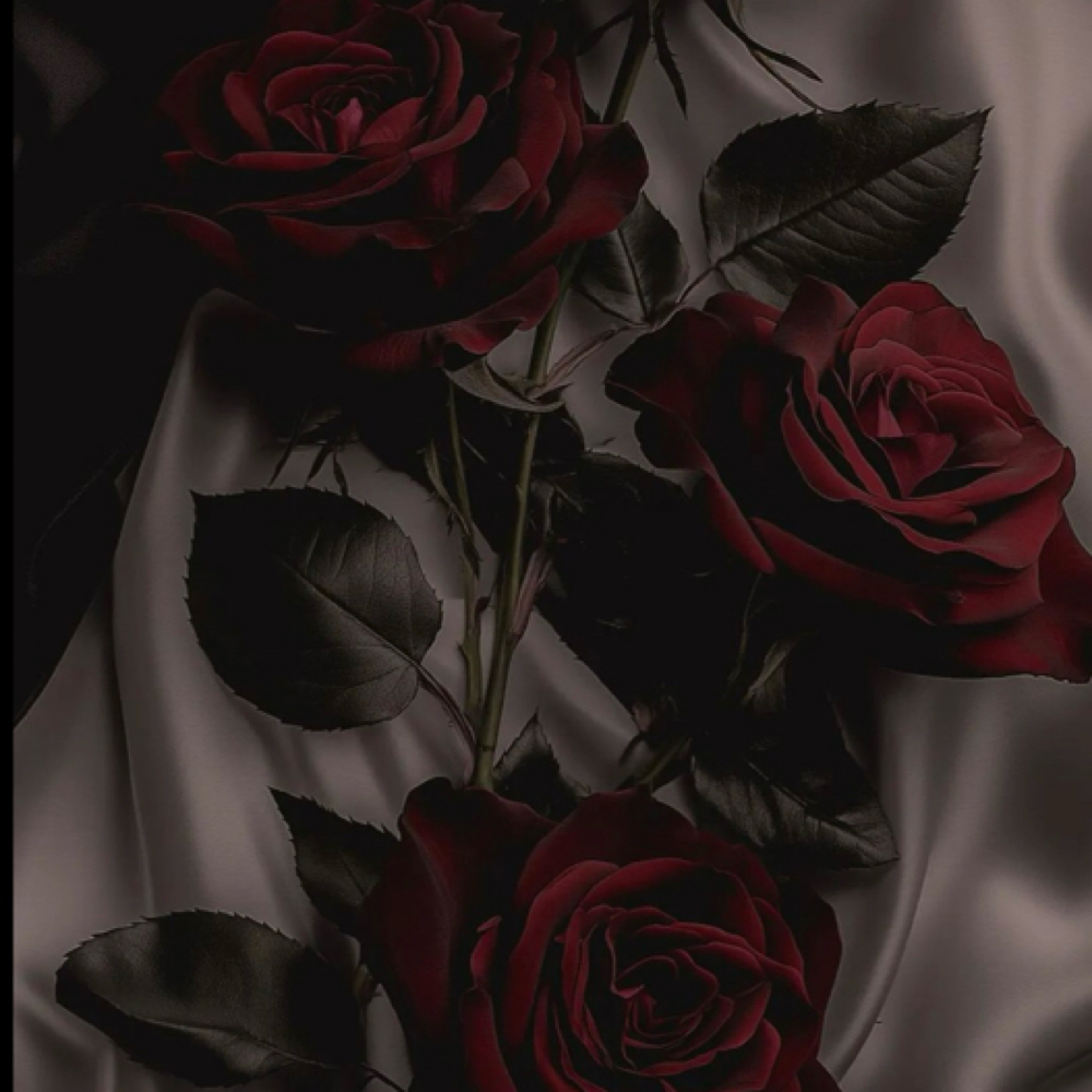 February Valentine Rose Facial