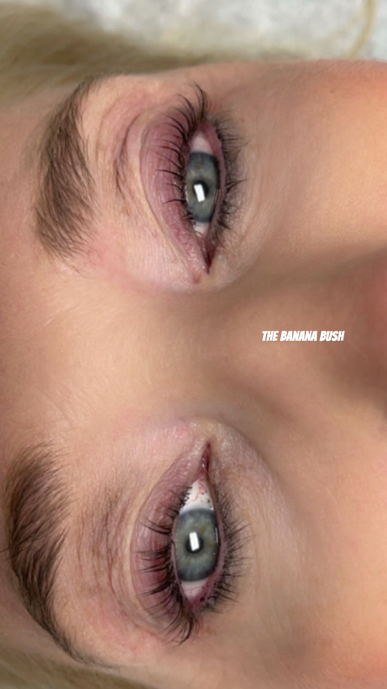 Eyelash Tinting