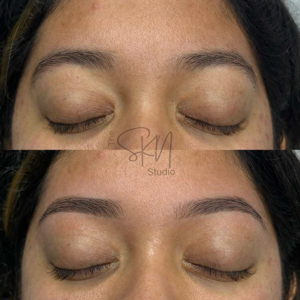Brow Wax (New Client) at The SKN Studio in Greenville, NC