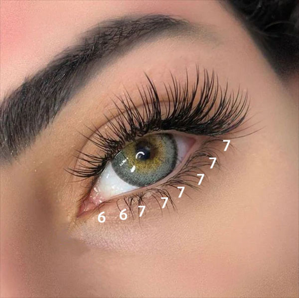 Bottom Lashes