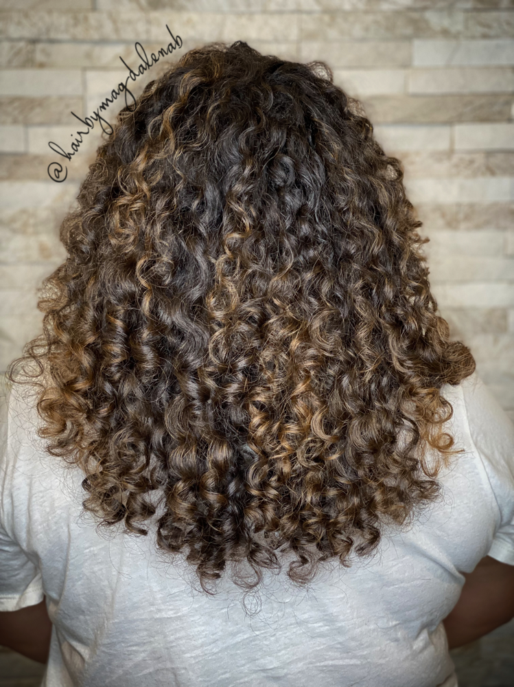 *RETURN GUESTS ONLY* Curl Reshape