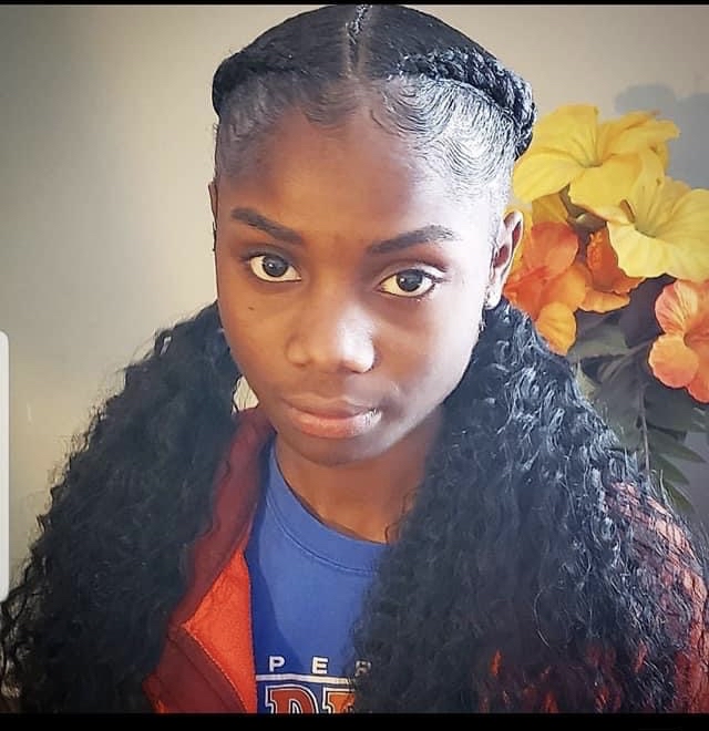 2 Feed In Braids