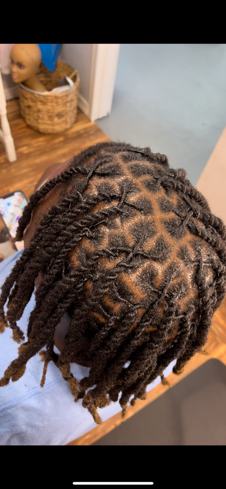 Wash Retwist 2 Strand