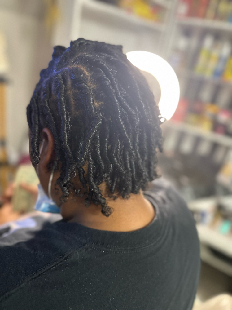 Starter Locs