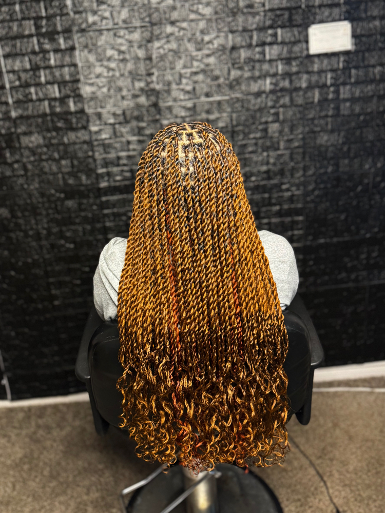 Cuban Twist (Extra S)