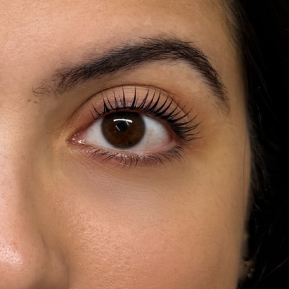 Korean Lash Lift at Sydney Surface in Rea Farms, NC