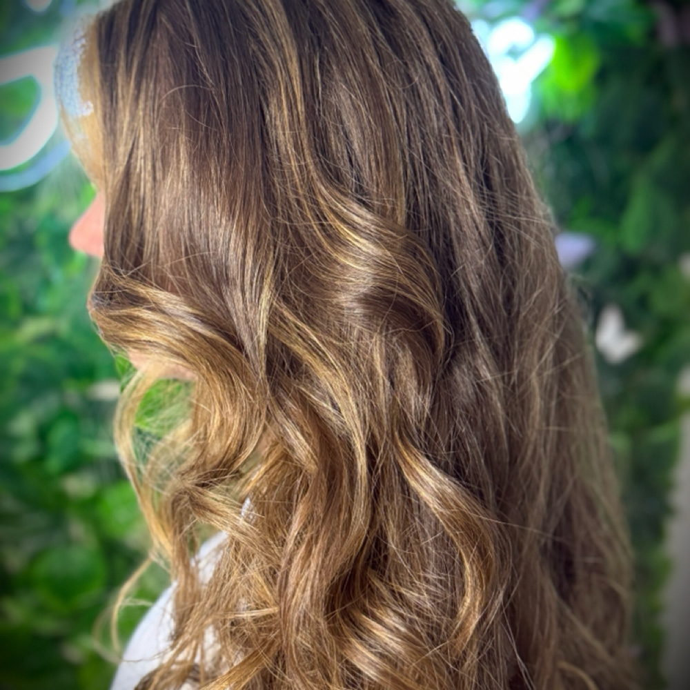 Shampoo/Cut/Style at Endora Beauty Salon LLC. in Panama City, FL