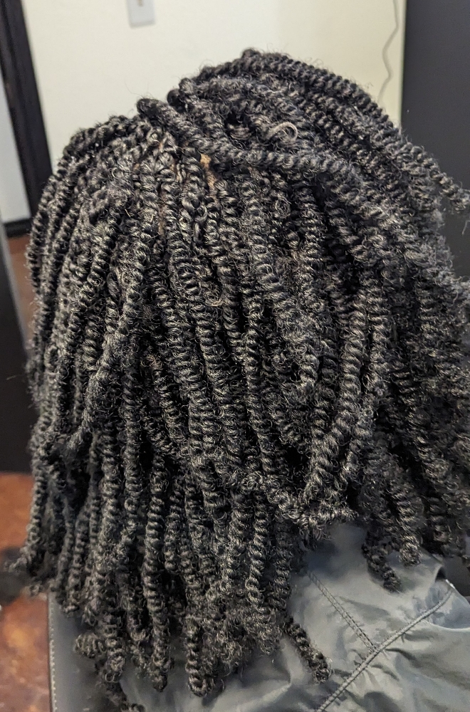 Spring Twist/ Kinky Twist Small