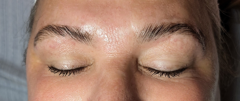 Eyebrow Lamination, Wax, And Tint