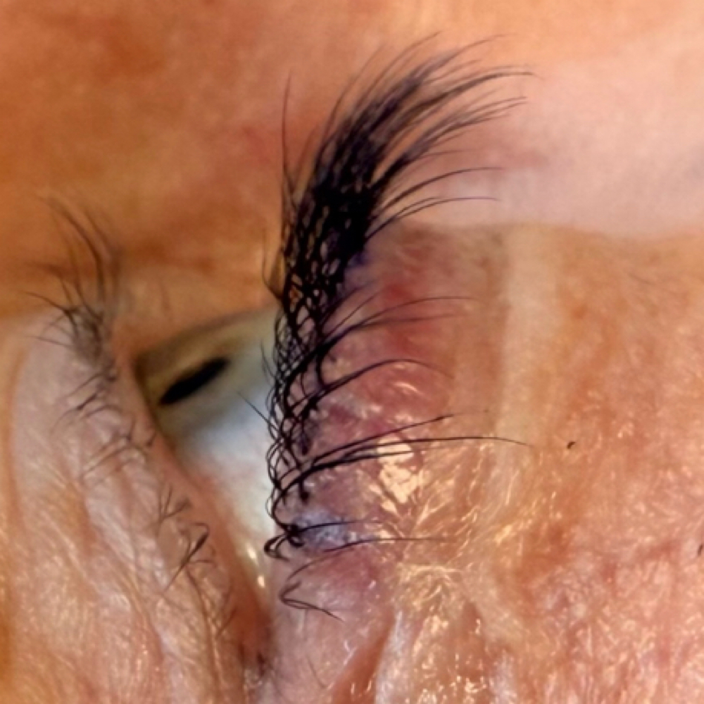 Lash Lift & Tint at Javani Aesthetics & Wellness in Bay City, MI