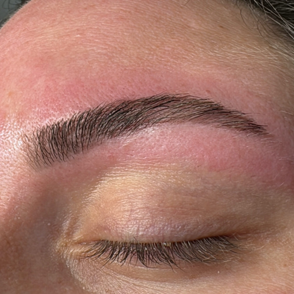 Eyebrow Wax & Tint at Nani au  —  3130 Collective in Slidell, LA