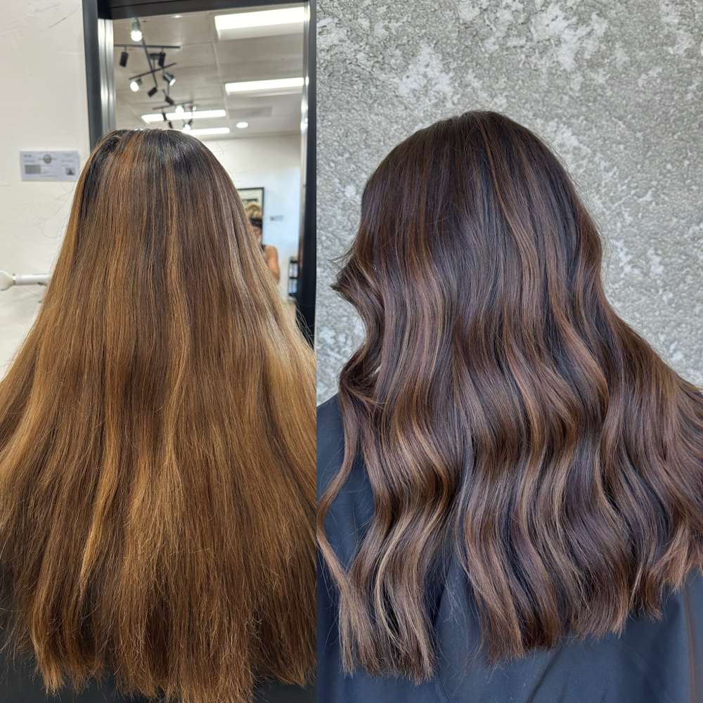 Reverse Balayage/Lowlights