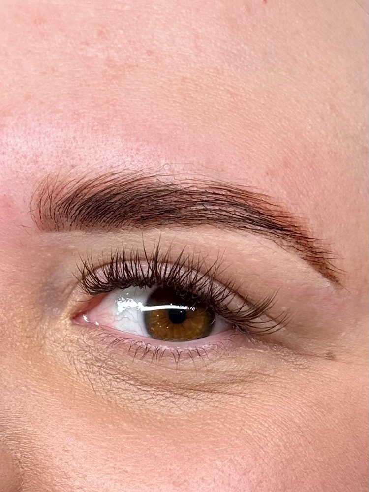 Eyebrow Tint and Waxing