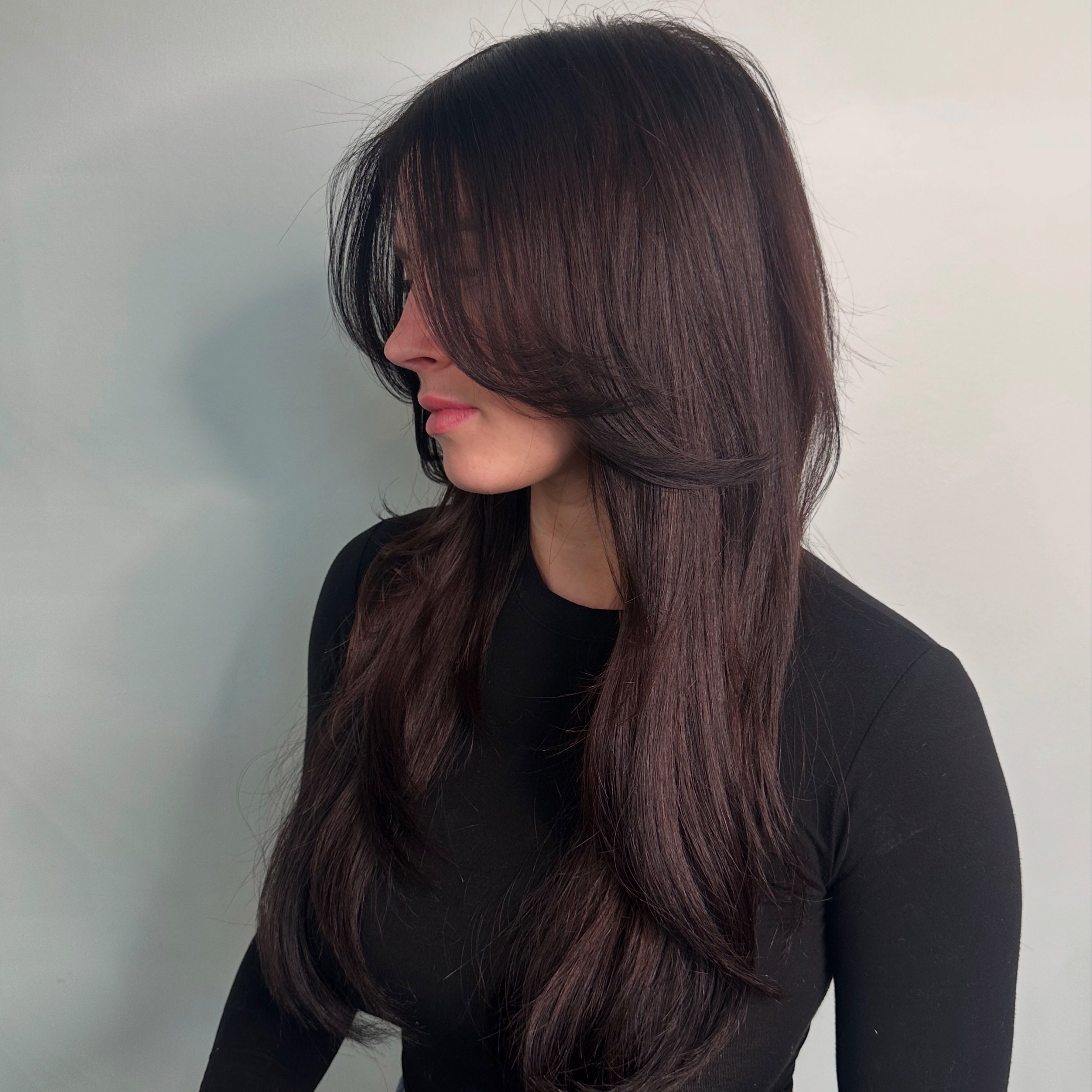 Hair Extension Consultation
