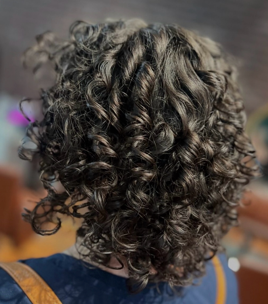 Curly/Wavy Revive Experience