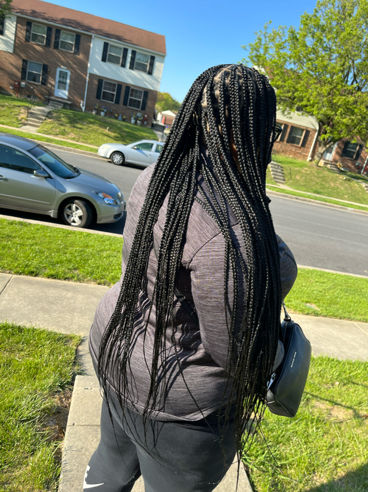 Butt Length Medium Knotless