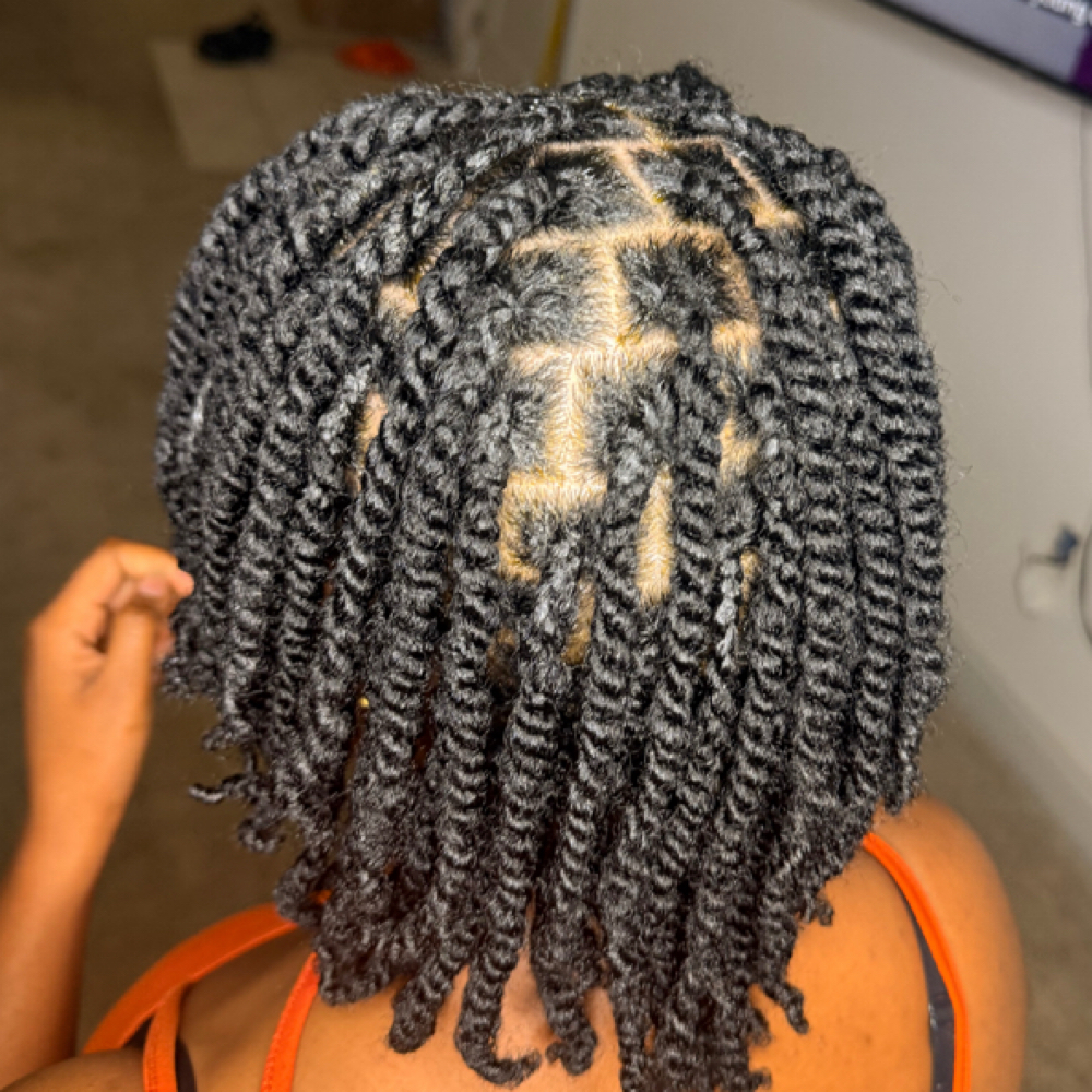 2 Strand Twists With Natural Hair at Mane In The Mirror Salon in Charlotte, NC
