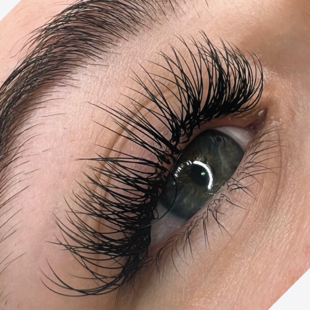 2 Week Classic Fill at Lashed Society in South Jordan, UT