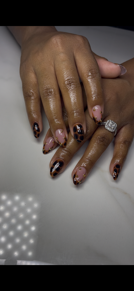 Baddie Bria (Tier 2) at Daisy Did That in Jacksonville, FL