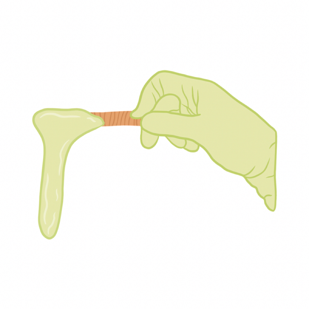 Inner Buttocks Wax at Skin Sanctuary Co in Marietta, GA