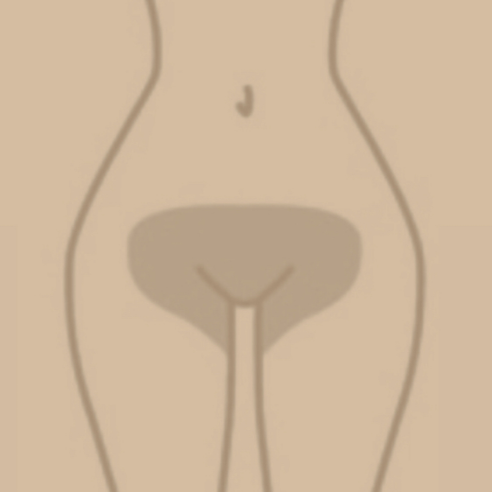 Bikini Full Wax at Bloom Beauty Bar LLC in Houston, TX