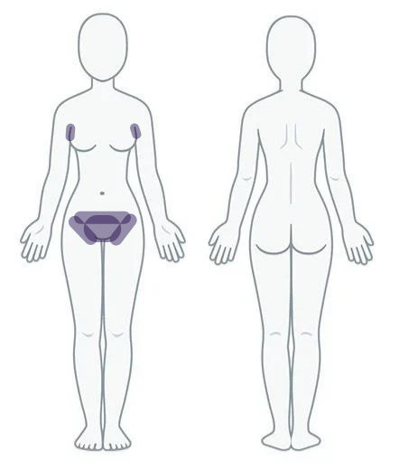 Underarm + Women’s Bikini Full