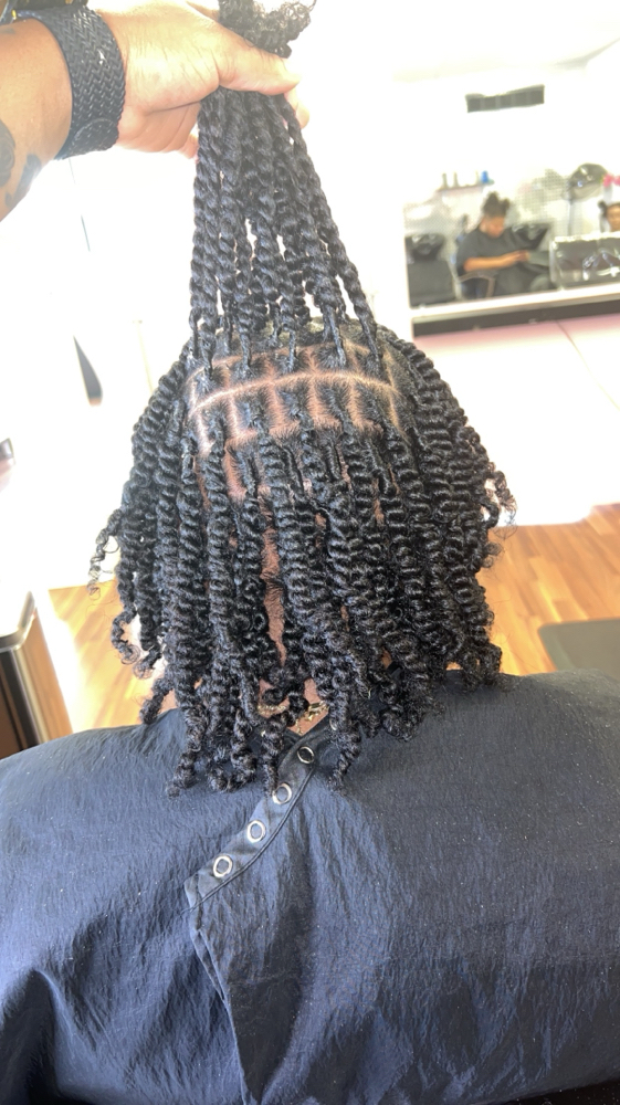 Starter Locs