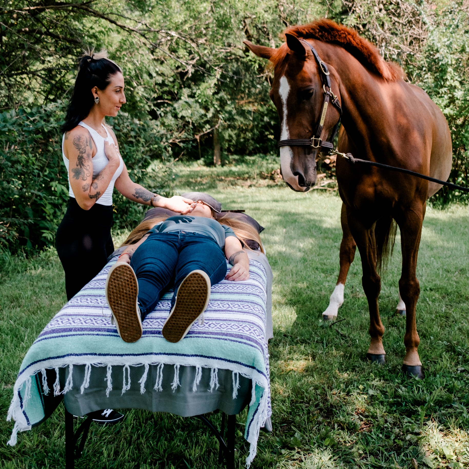 COMING SOON Equine Energy Work at Steele Healing in Lombard, IL