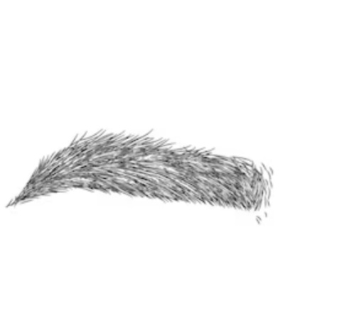 Full Brow Wax - Men's
