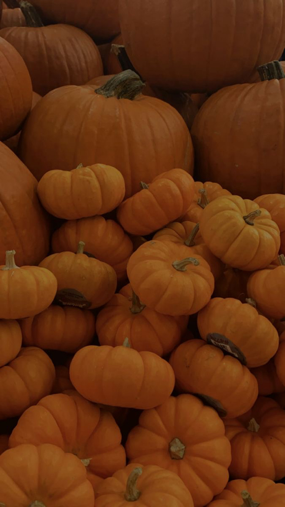Sweet Cream Pumpkin Facial