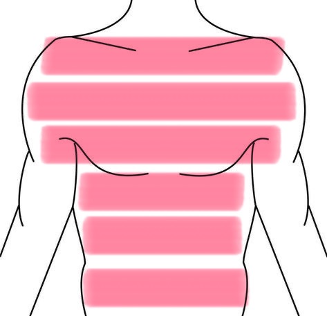 Chest + Stomach