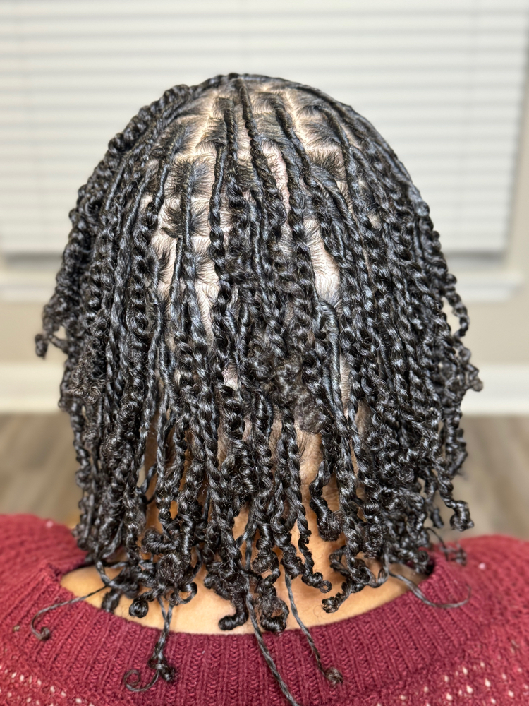 Starter Small/Micro Locs