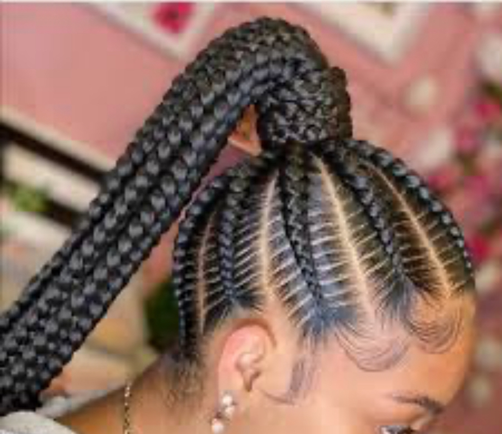 Braided Ponytail ( High/Low)