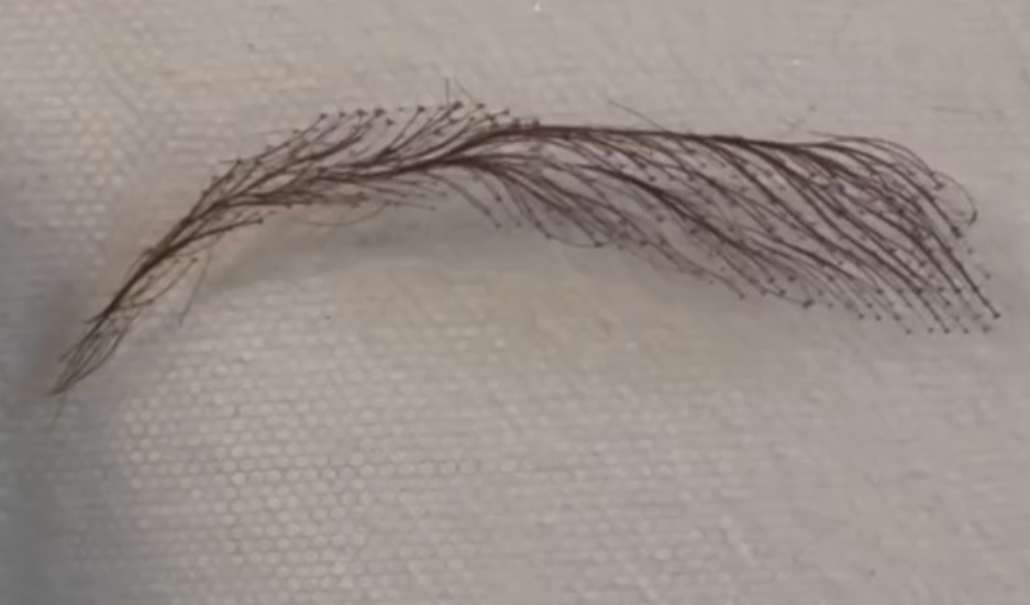 RiiGrowth Lace Brows