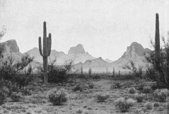 Kids Haircut 10 & Under at Salon Idyll in Rochelle, IL