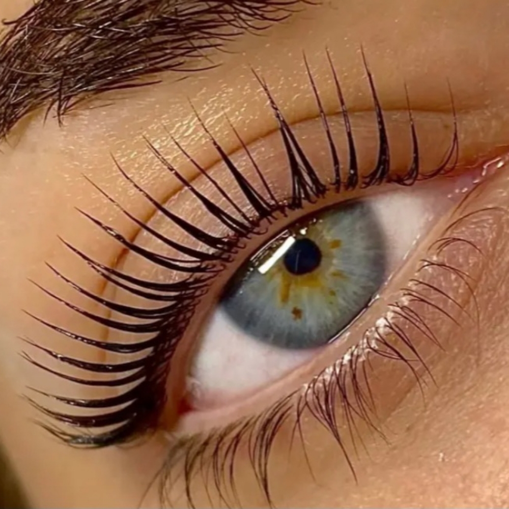 Korean Lash Lift/Tint at Bella Ciglia By Zingale in Jackson, WI