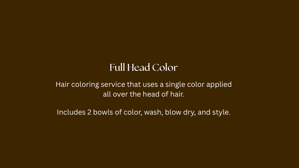 Full Head Color at Wild Honey Studio in Sioux Falls, SD