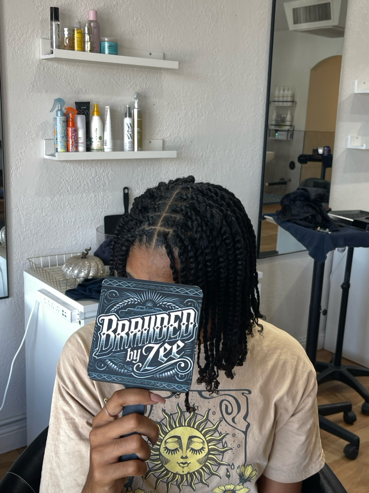 2 Strands Twists (Full Head)