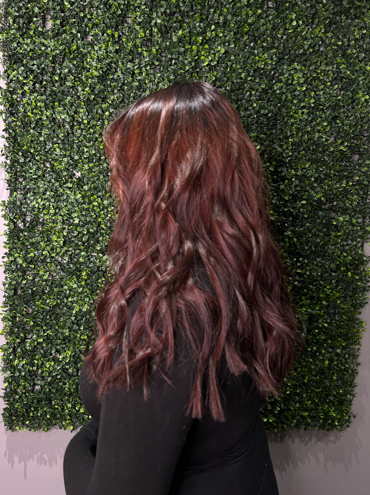 One Solid Haircor at The Cosmetology Bar in Maplewood, MN