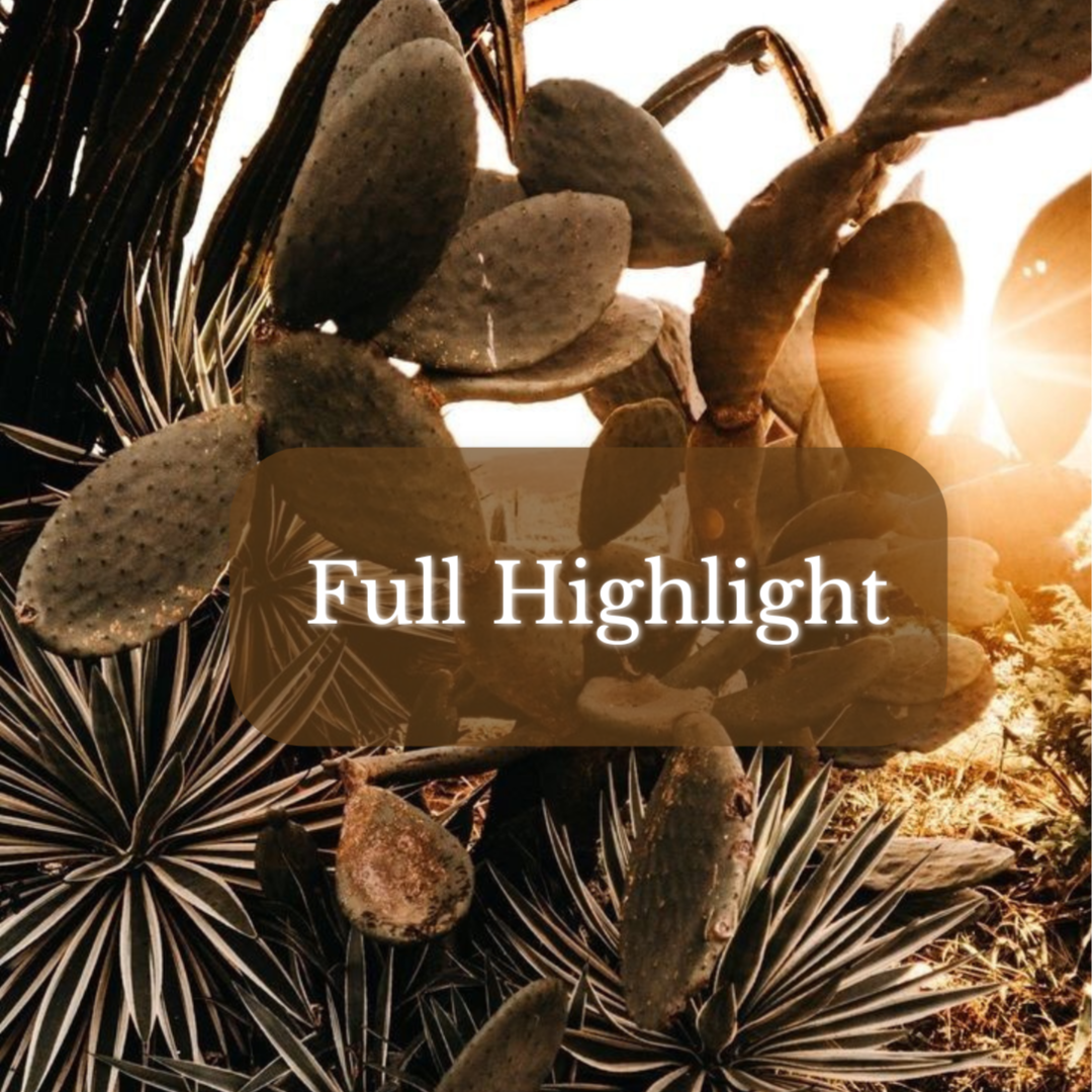 Full Highlight at Magnolia on Main in Keene, NH