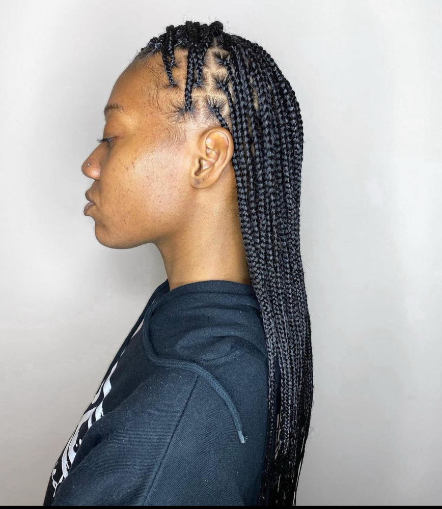 Mid Back Length Box Braids