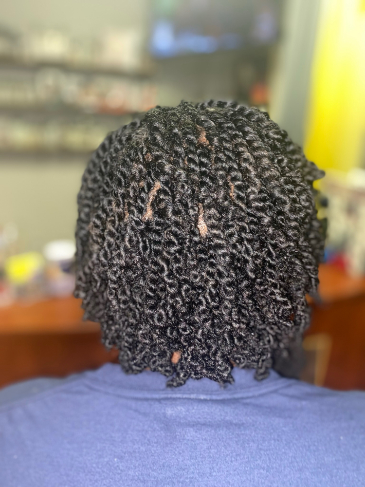 NaturaLuxe Two-Strand Twists