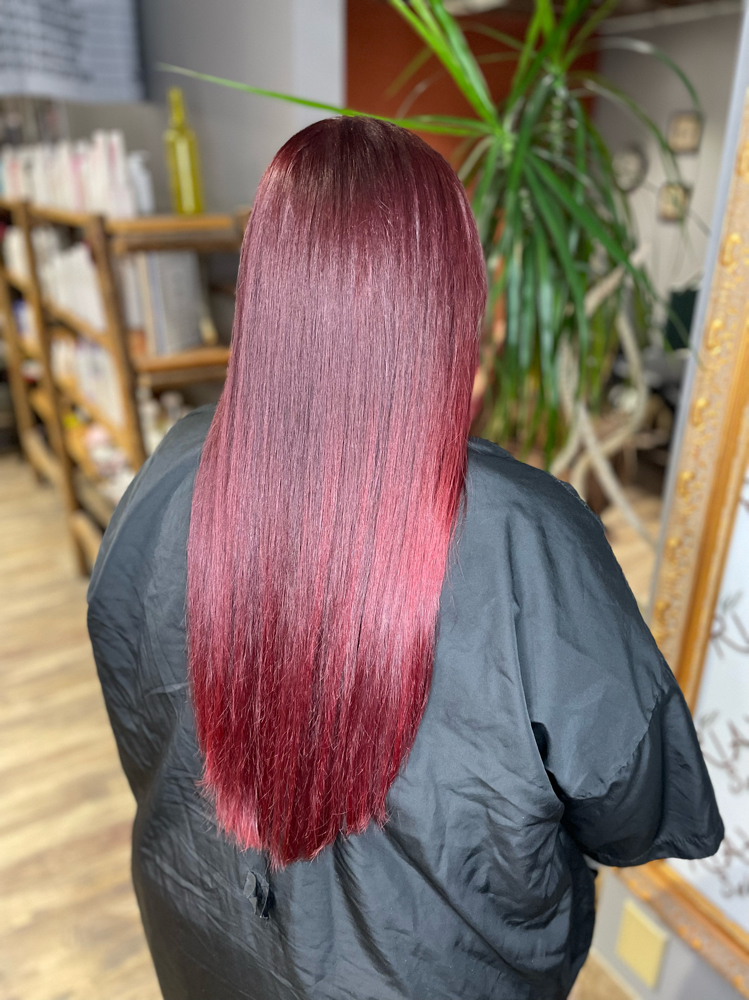 Single Color With Cut/Style at Hairscape in Crown Point, IN