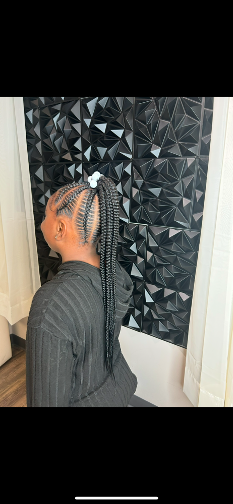 LARGE Ponytail(s)