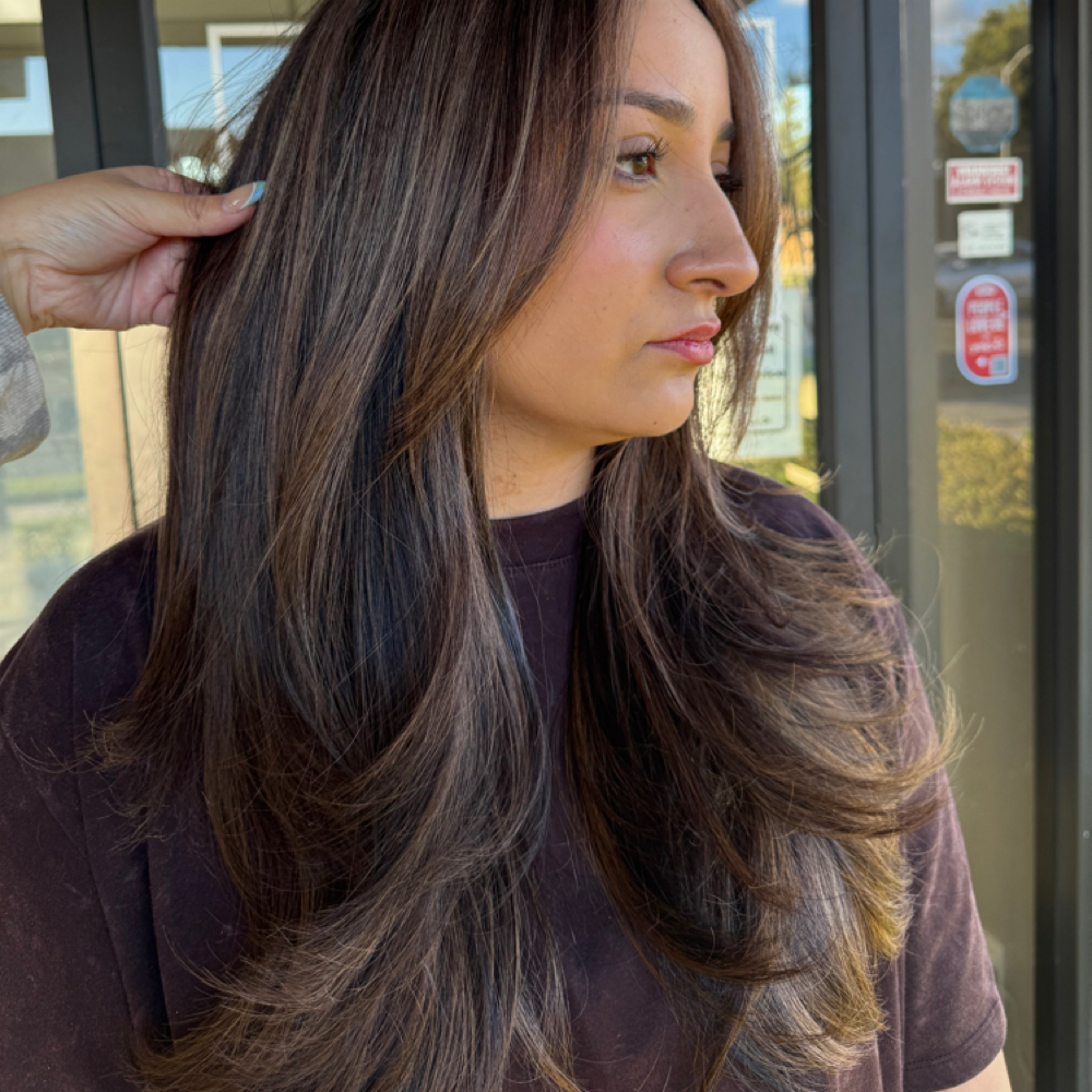 Haircut + Toner at HairByBriannaRae in Clovis, CA